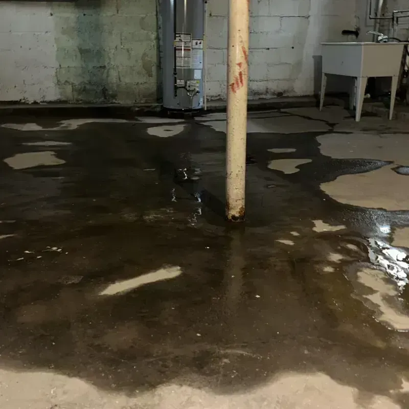 Emergency Water Extraction And Removal in Redkey, IN